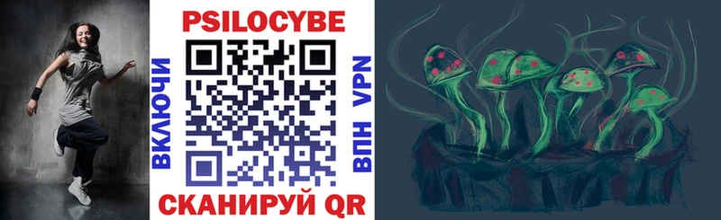 Псилоцибиновые грибы GOLDEN TEACHER  Багратионовск 
